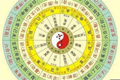 命主乙木|【八字 乙木】乙木命理大揭秘！剖析「八字乙木」的獨特性格、。